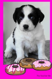 dogs and donut